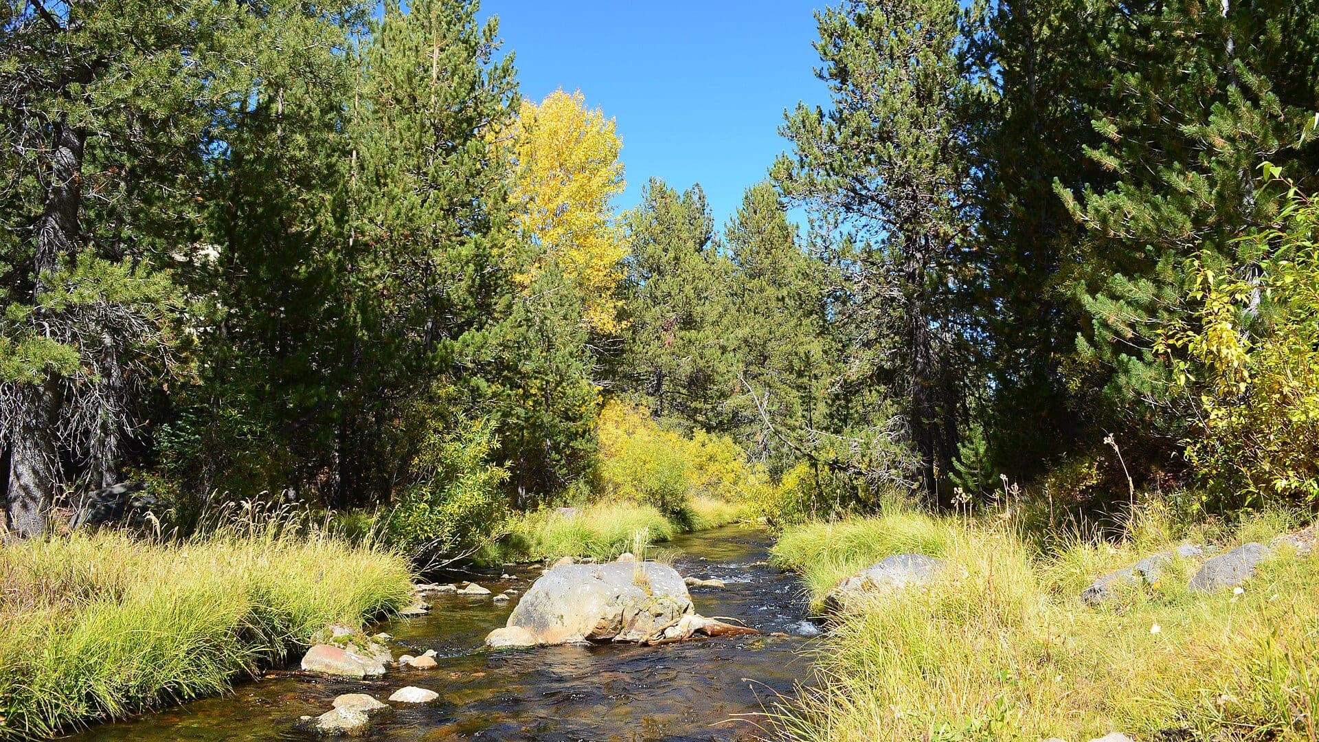 Hat Creek in Lassen country California