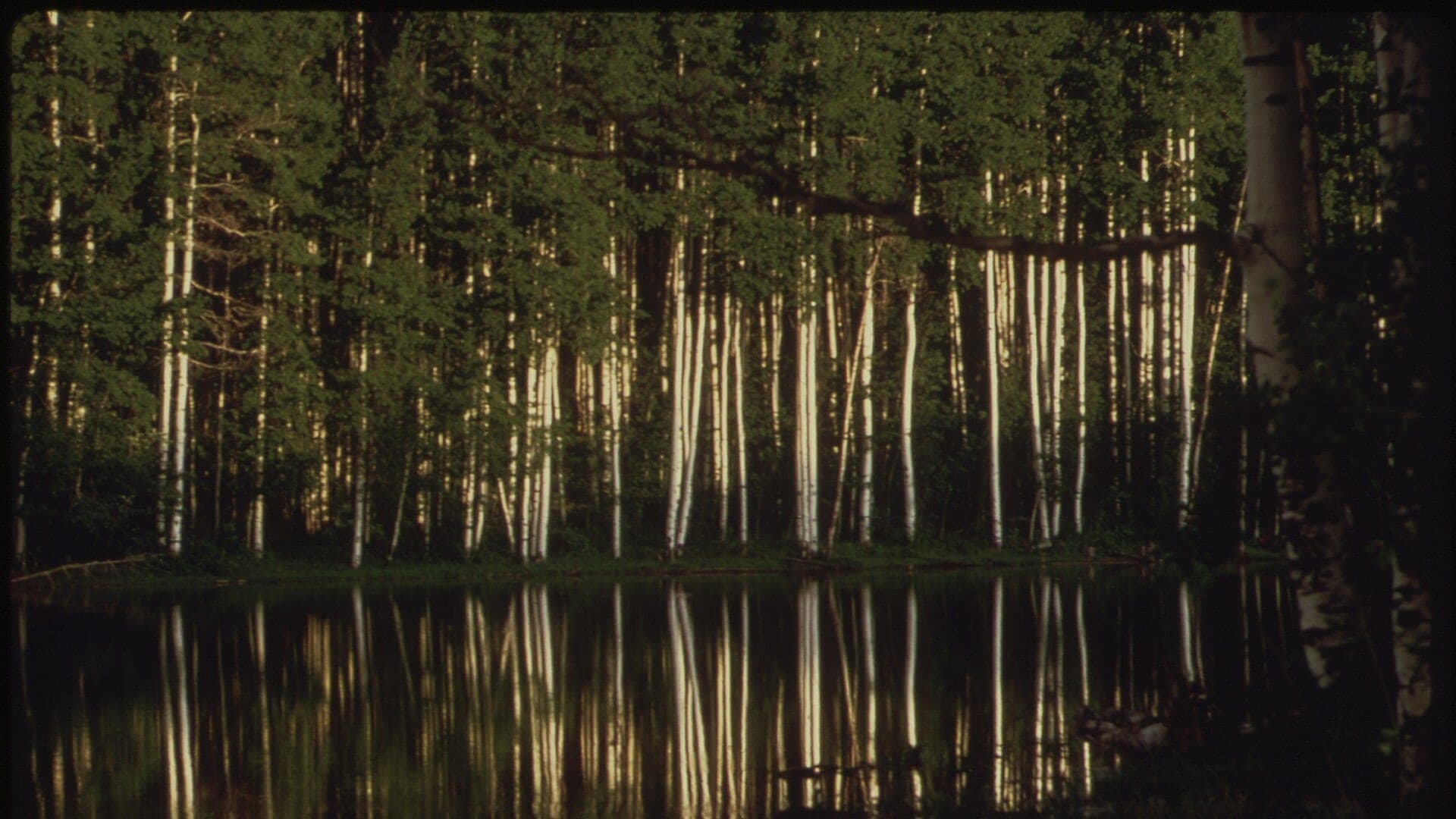 Uncompahgre River water or watershed scenery in Colorado
