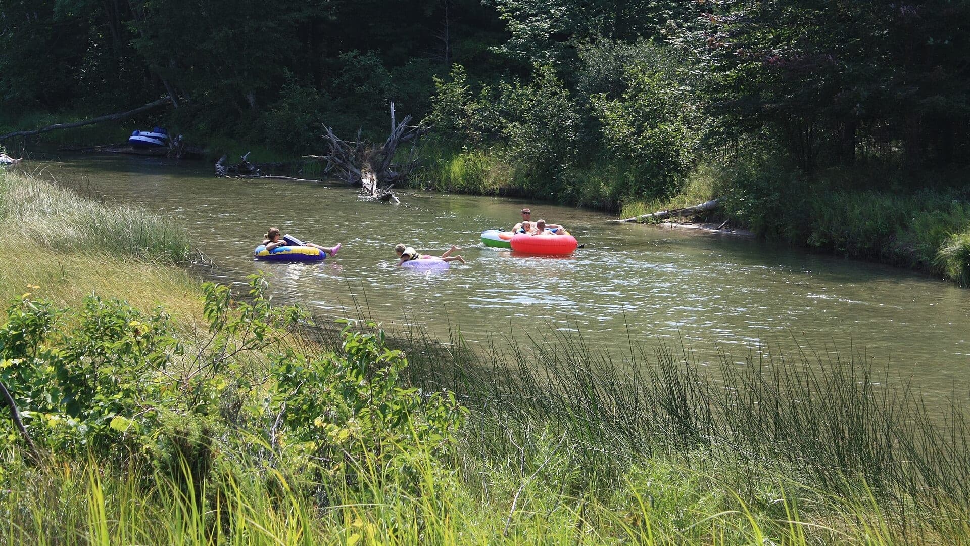 Platte River water or watershed scenery in Michigan