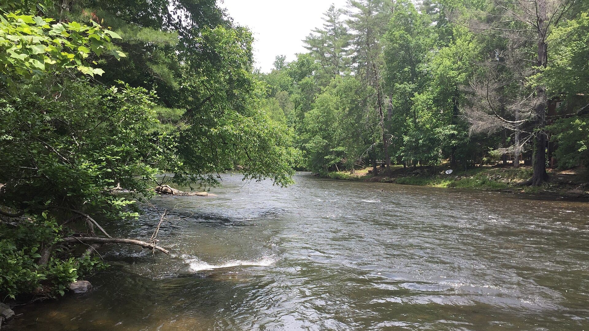 Toccoa River water in Fannin County Georgia