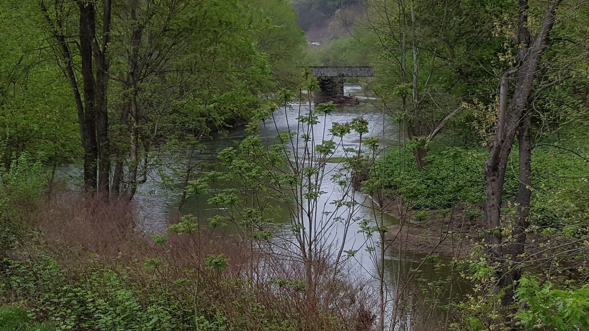 Cumberland River water or watershed scenery in Kentucky