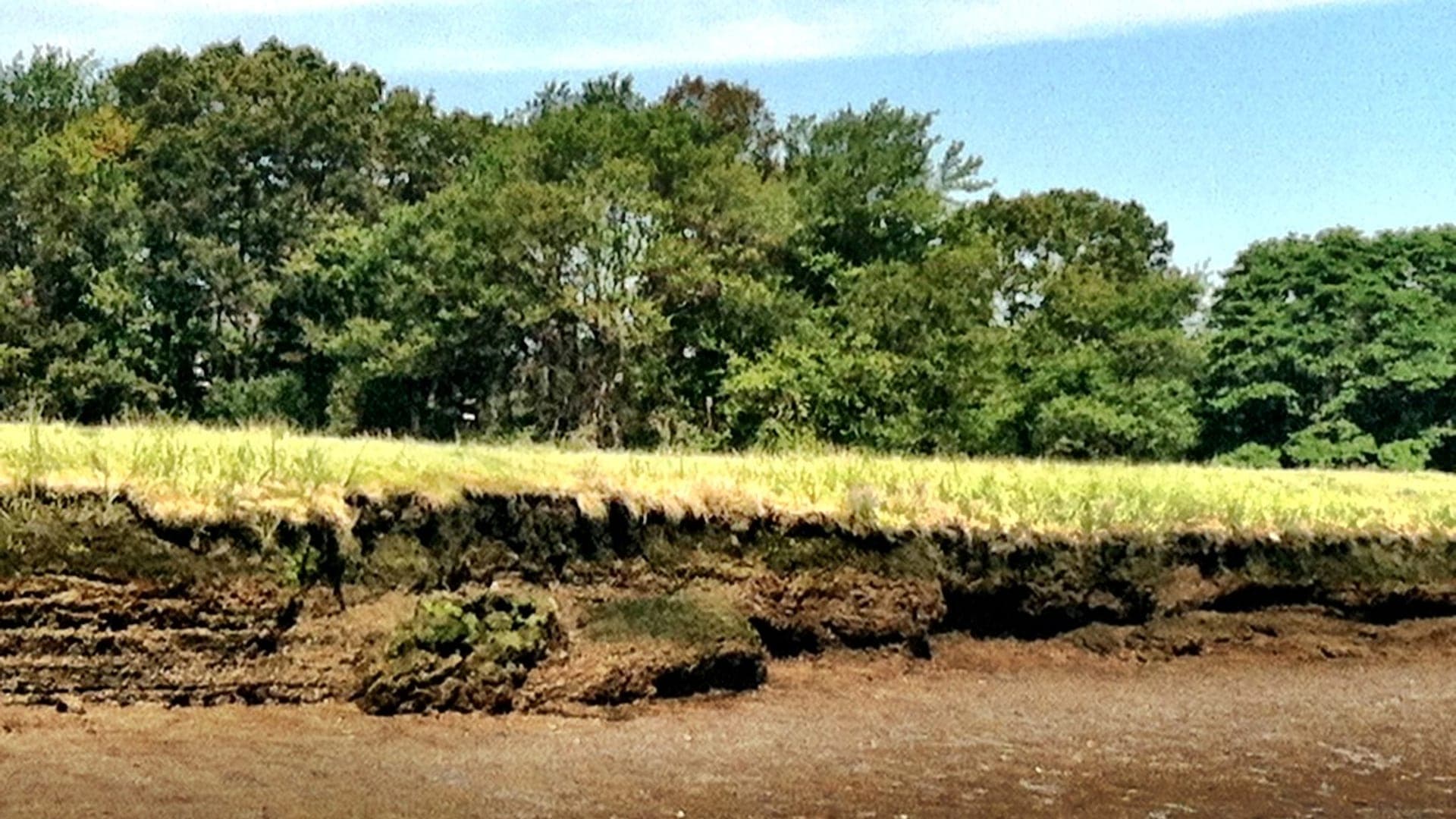 Essex River water or watershed scenery in Massachusetts
