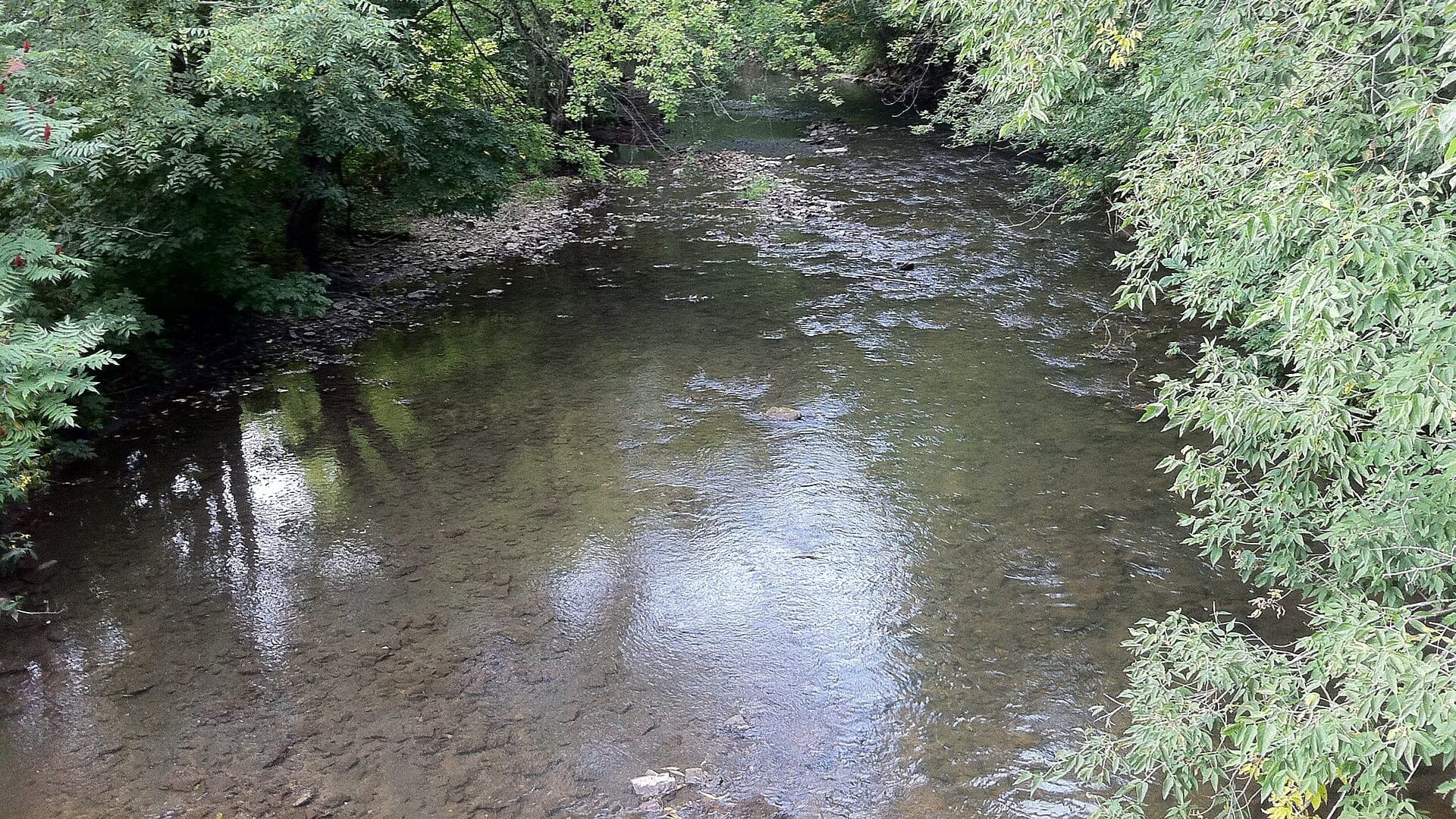 South Branch Root River water or watershed scenery in Minnesota
