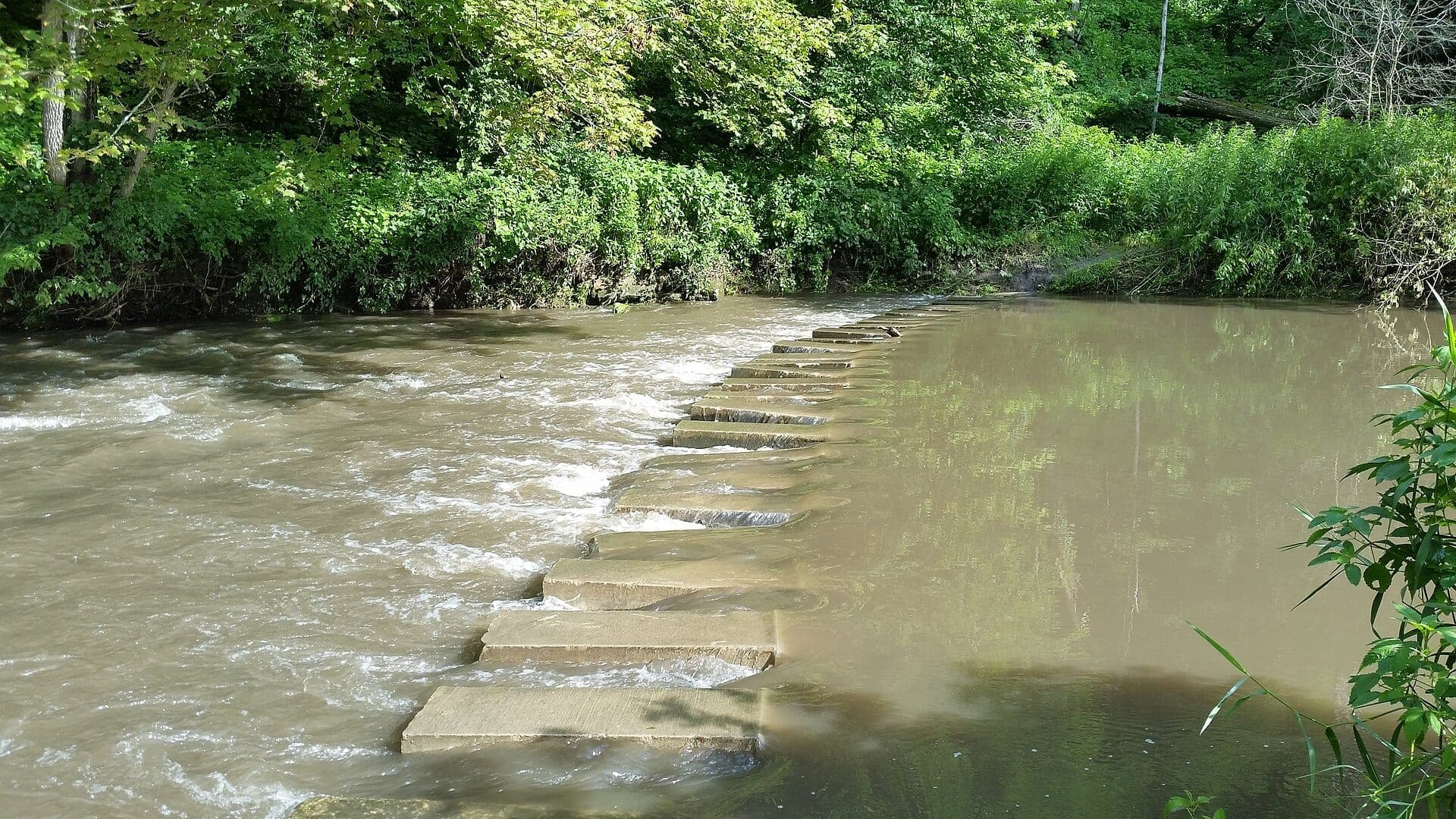 Whitewater River water or watershed scenery in Minnesota