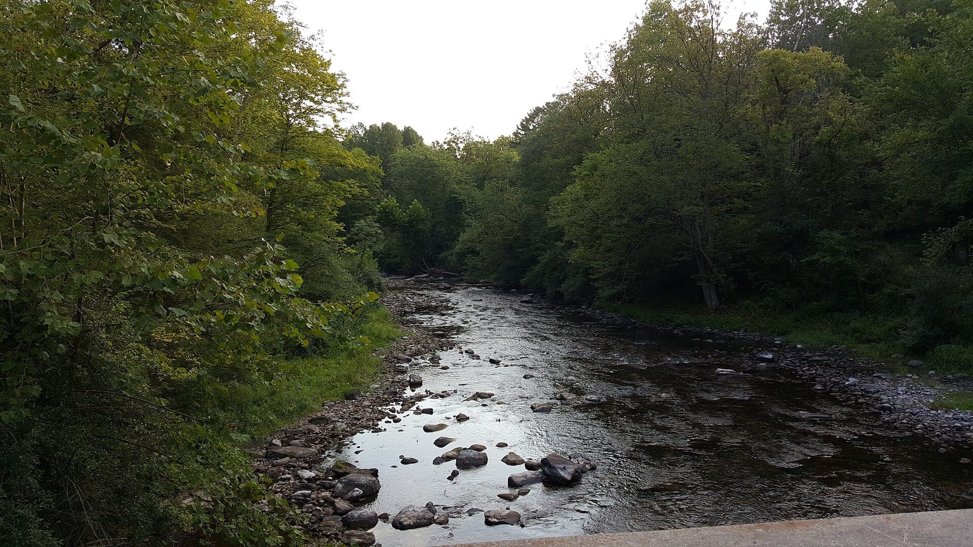 Flat Brook water or watershed scenery in New Jersey