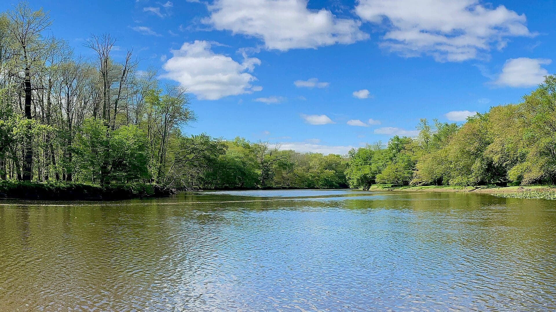 South Branch Raritan River water or watershed scenery in New Jersey