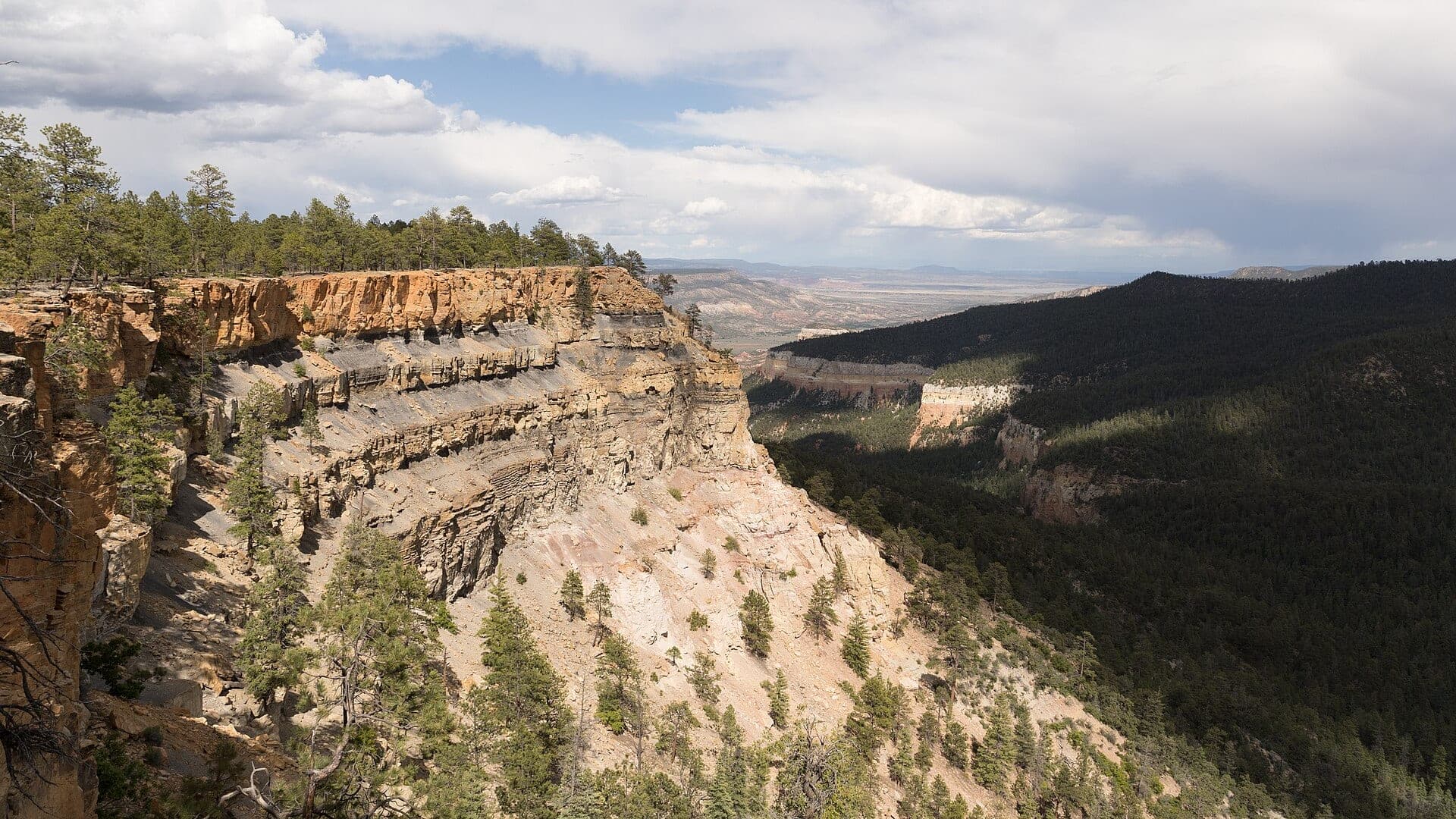 Chama River water or watershed scenery in New Mexico
