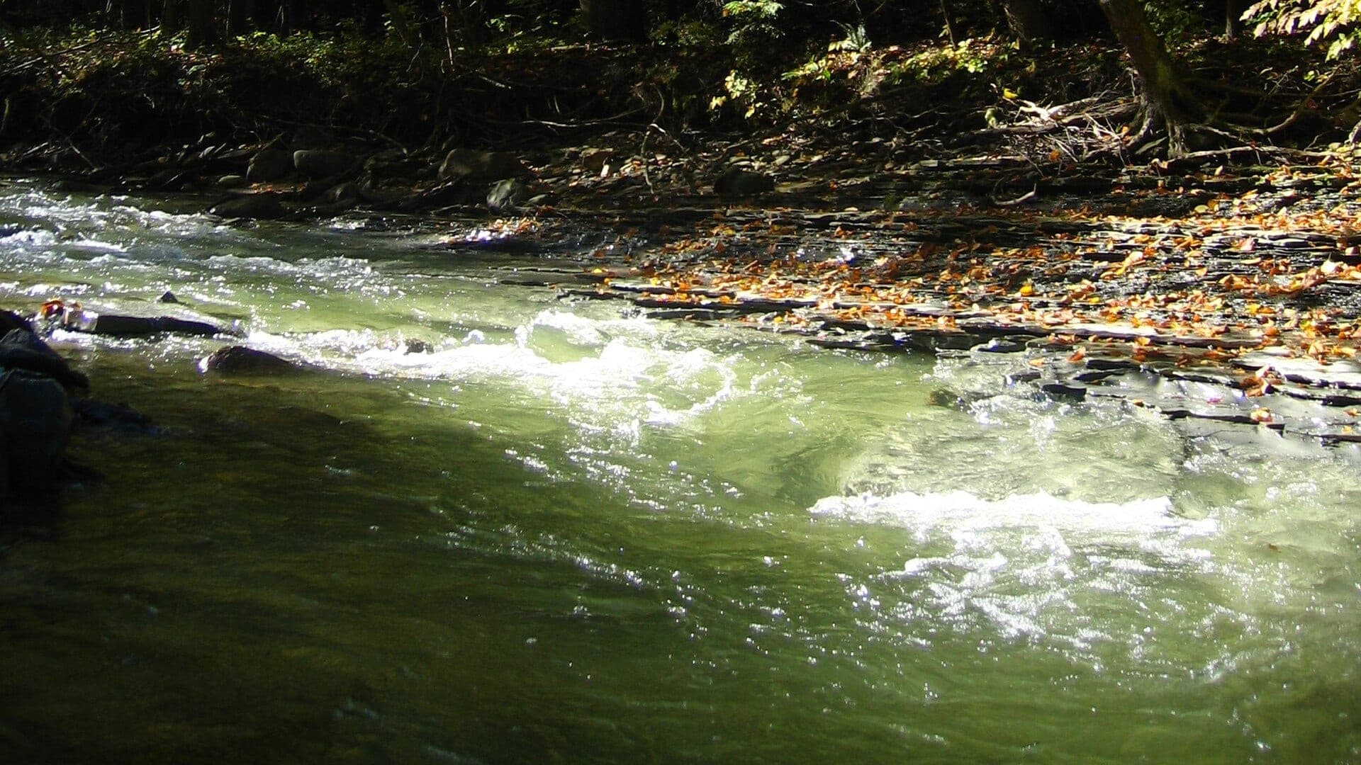 Chautauqua Creek water in western New York