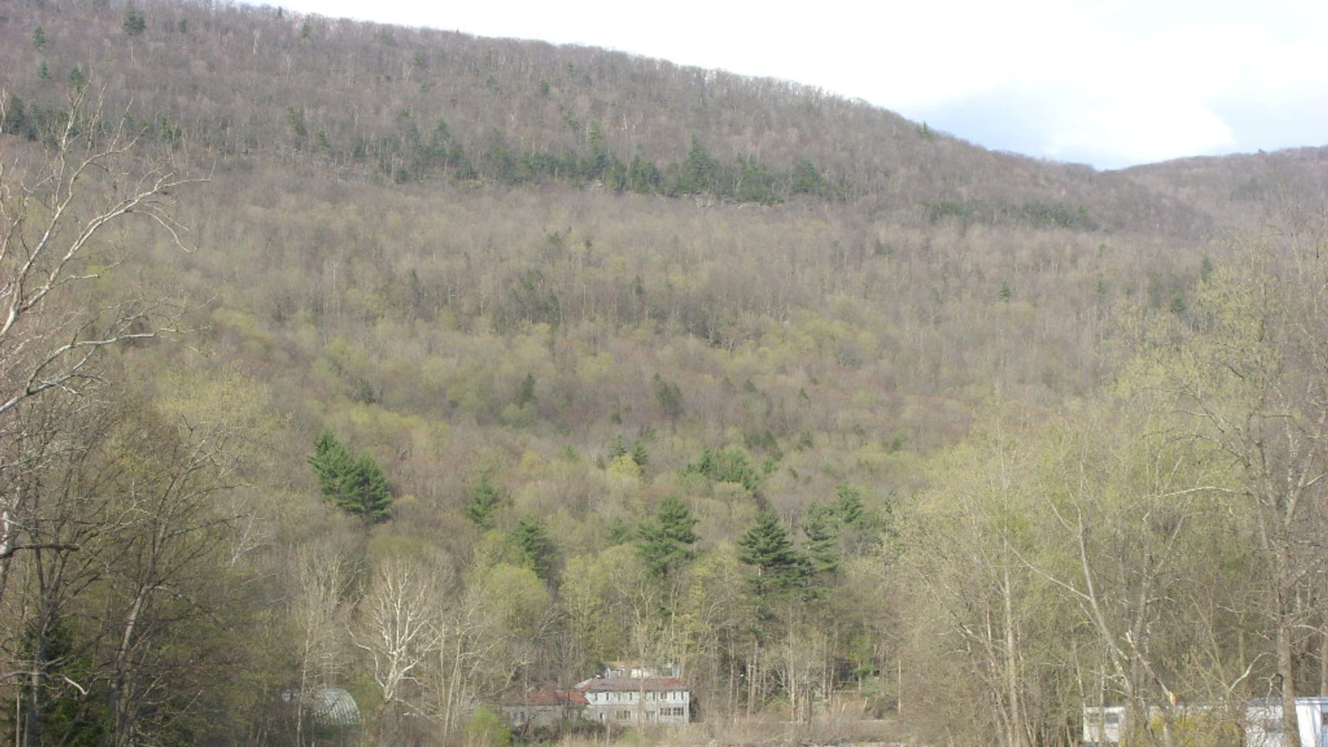 Esopus Creek at Phoenicia New York