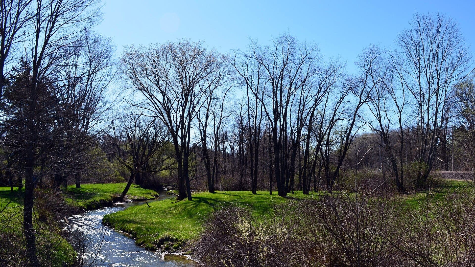 Conneaut Creek water in the Ohio-Pennsylvania Steelhead Alley watershed