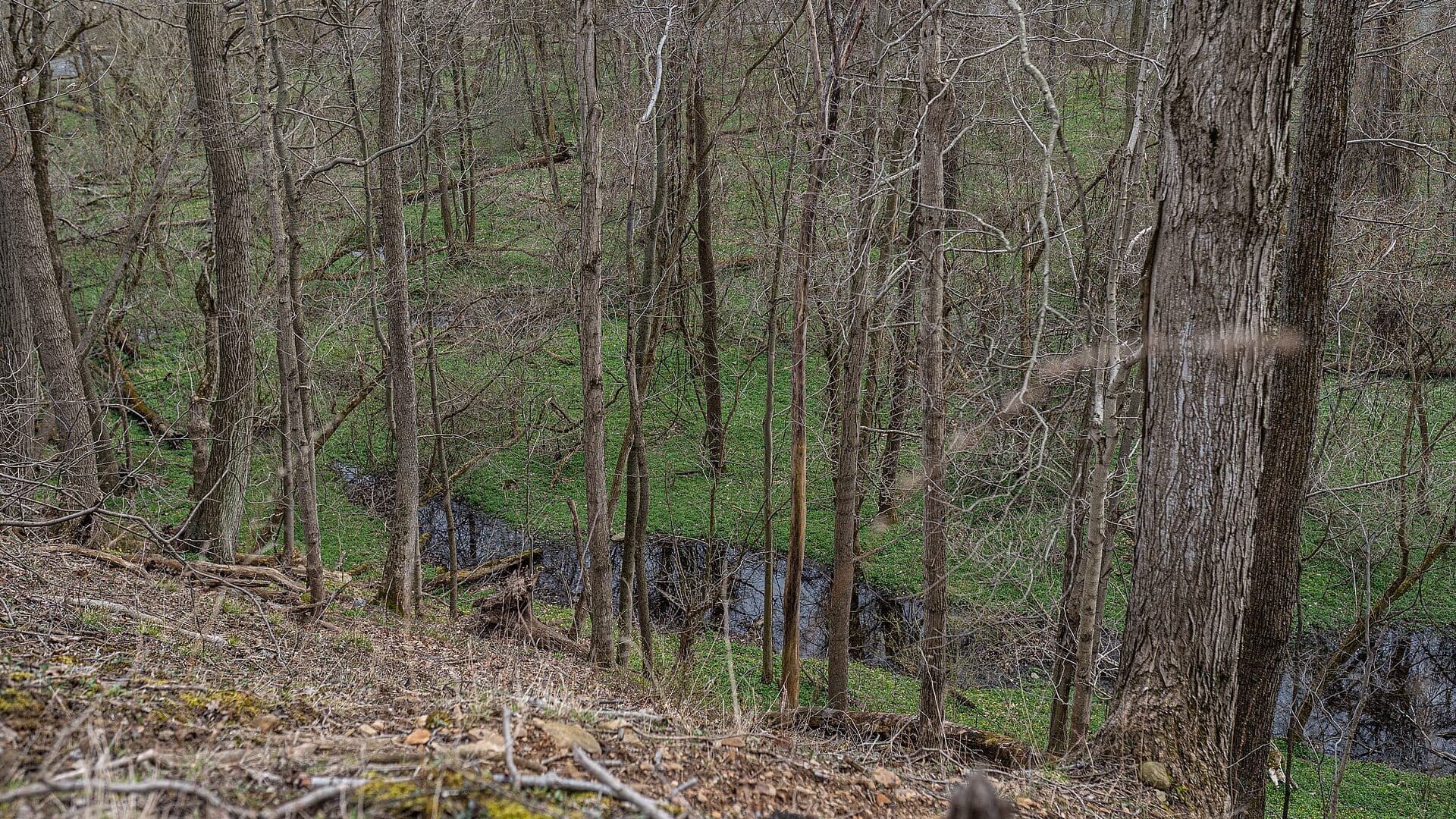 Vermilion River water or watershed scenery in Ohio