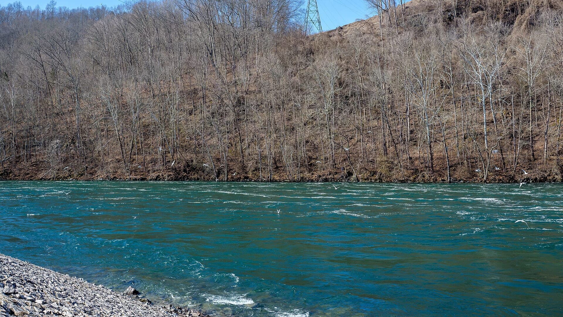 Clinch River water near Norris Tennessee