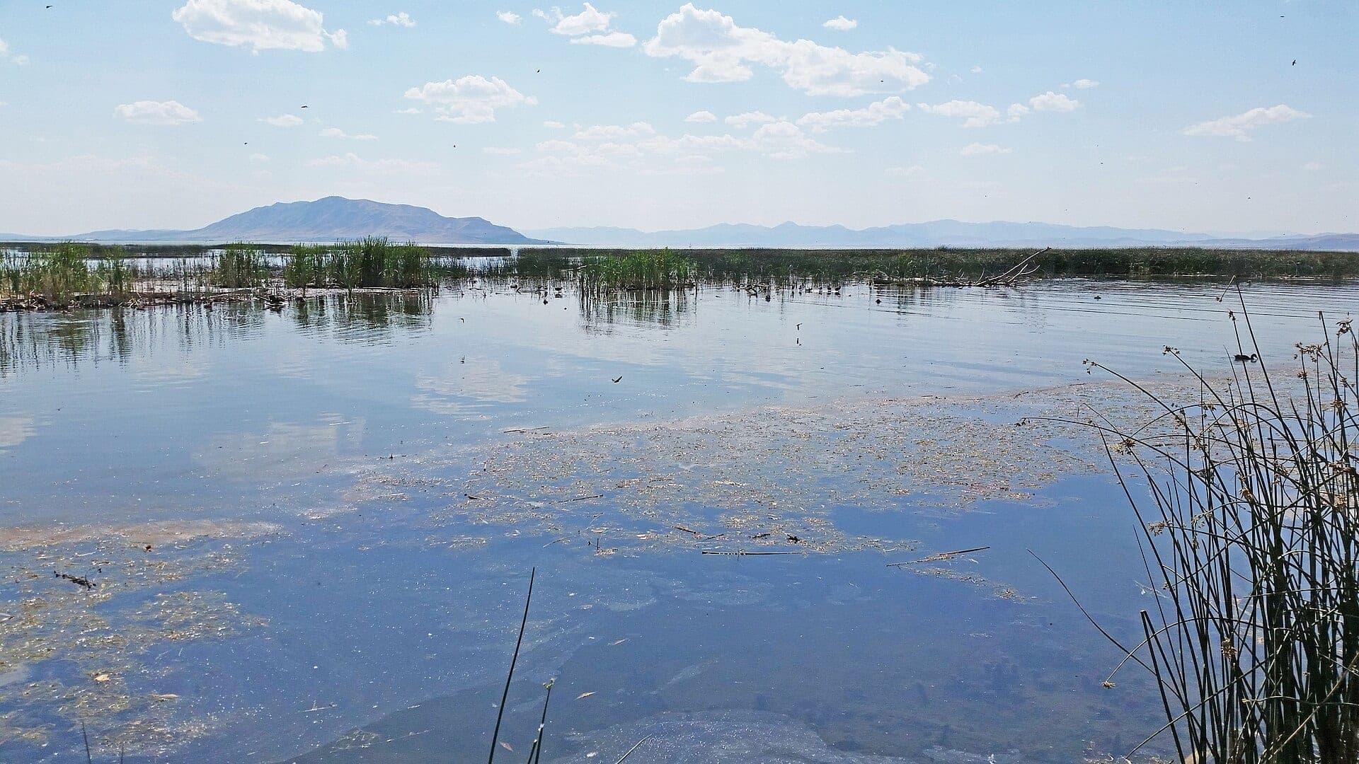 Mouth of the Provo River in Utah County Utah