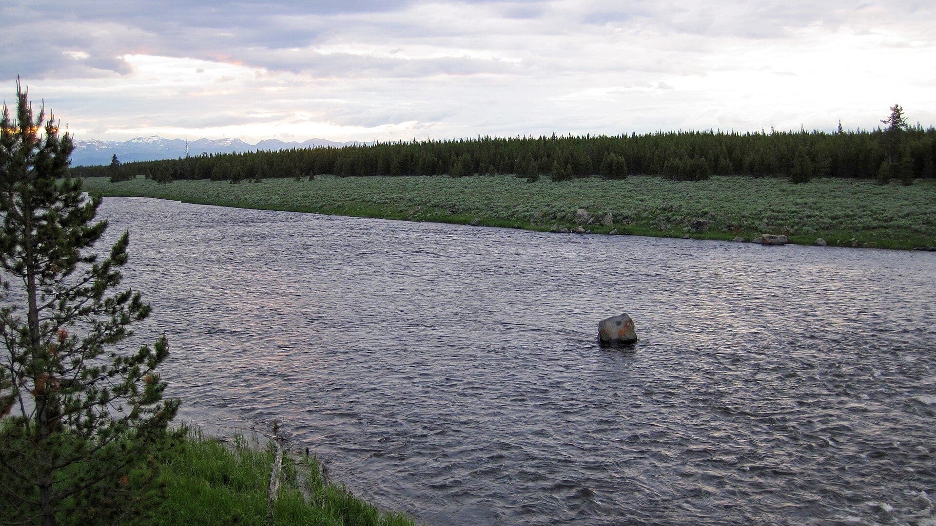 Madison River In Yellowstone Park water or watershed scenery in Wyoming